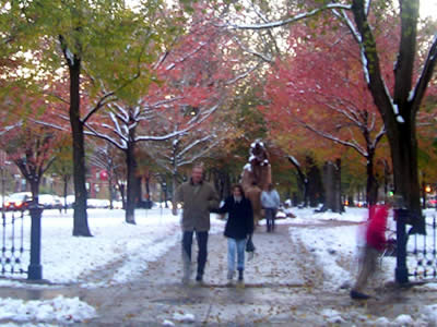 firstsnow04_2.jpg